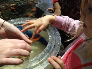 Stroking a star fish