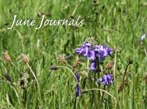 JuneJournals